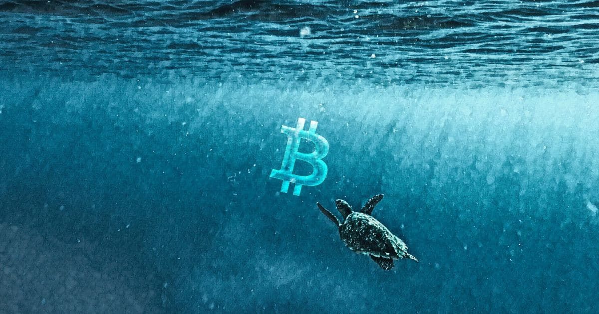 bitcoin-ocean.jpg